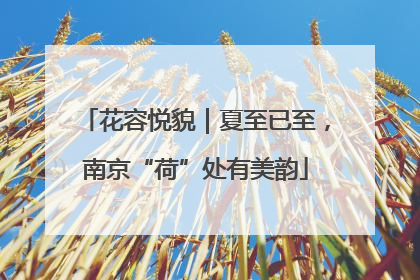花容悦貌｜夏至已至，南京“荷”处有美韵