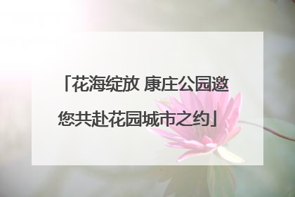 花海绽放 康庄公园邀您共赴花园城市之约