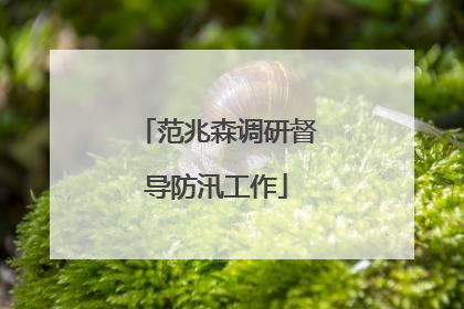 范兆森调研督导防汛工作