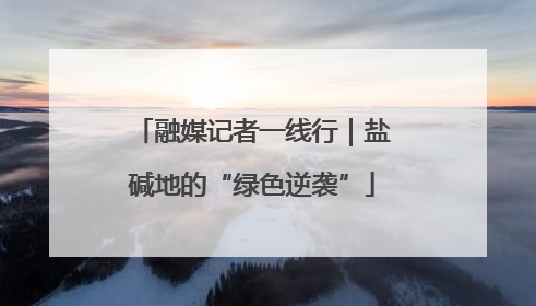 融媒记者一线行｜盐碱地的“绿色逆袭”