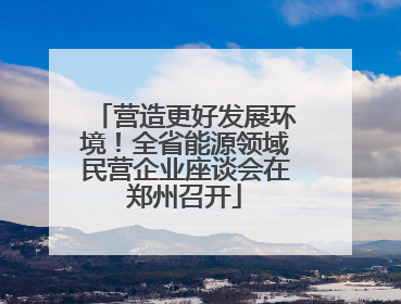 营造更好发展环境！全省能源领域民营企业座谈会在郑州召开