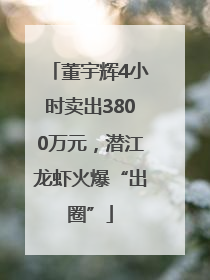 董宇辉4小时卖出3800万元，潜江龙虾火爆“出圈”