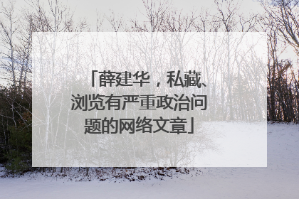 薛建华，私藏、浏览有严重政治问题的网络文章