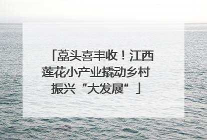 藠头喜丰收！江西莲花小产业撬动乡村振兴“大发展”