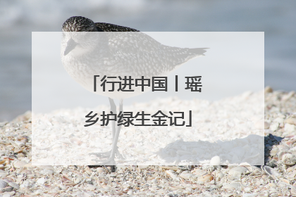 行进中国丨瑶乡护绿生金记