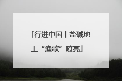 行进中国丨盐碱地上“渔歌”嘹亮