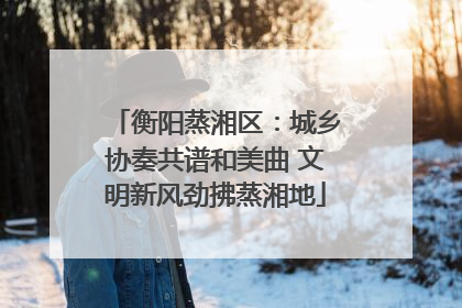 衡阳蒸湘区：城乡协奏共谱和美曲 文明新风劲拂蒸湘地