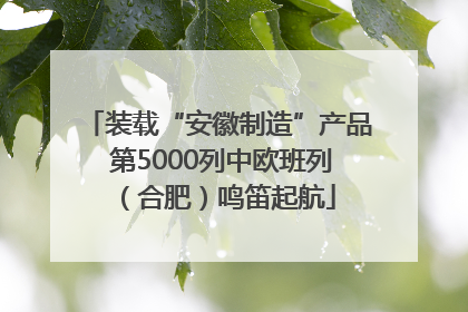 装载“安徽制造”产品 第5000列中欧班列（合肥）鸣笛起航