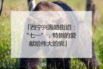 西宁兴海路街道：“七一”，特别的爱献给伟大的党