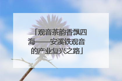 观音茶韵香飘四海——安溪铁观音的产业复兴之路