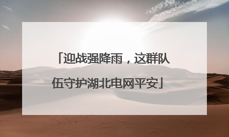 迎战强降雨，这群队伍守护湖北电网平安