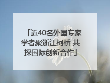近40名外国专家学者聚浙江柯桥 共探国际创新合作