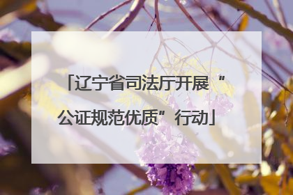 辽宁省司法厅开展“公证规范优质”行动