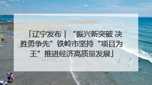 辽宁发布｜“振兴新突破 决胜勇争先”铁岭市坚持“项目为王”推进经济高质量发展
