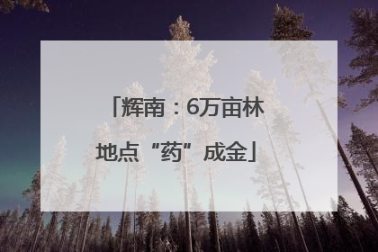 辉南：6万亩林地点“药”成金