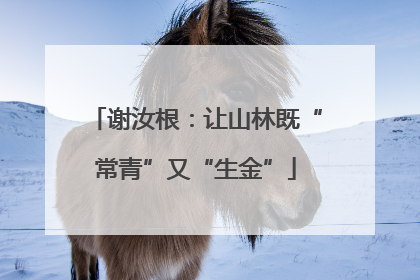 谢汝根：让山林既“常青”又“生金”