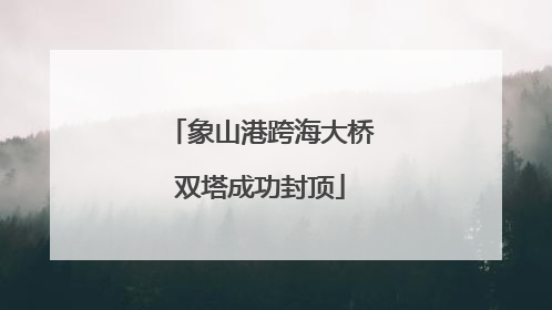 象山港跨海大桥双塔成功封顶