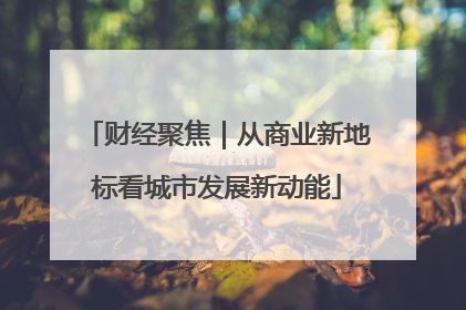 财经聚焦｜从商业新地标看城市发展新动能