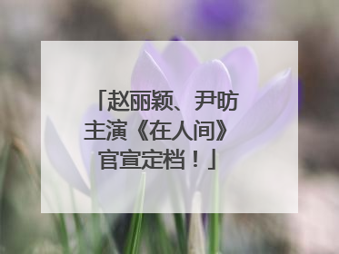 赵丽颖、尹昉主演《在人间》官宣定档！