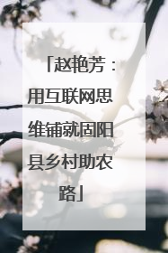 赵艳芳：用互联网思维铺就固阳县乡村助农路