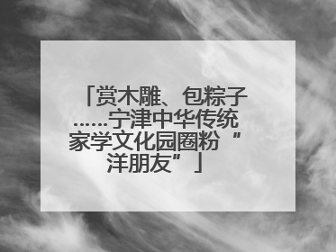 赏木雕、包粽子……宁津中华传统家学文化园圈粉“洋朋友”