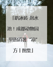 趴冰砖 泡水池！成都动物园里的消暑“凉”方丨图集