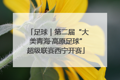 足球｜第二届“大美青海·高原足球”超级联赛西宁开赛