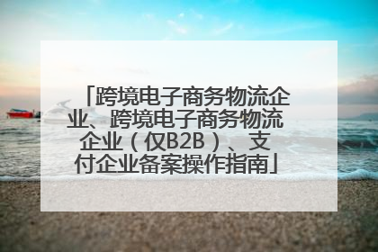 跨境电子商务物流企业、跨境电子商务物流企业（仅B2B）、支付企业备案操作指南