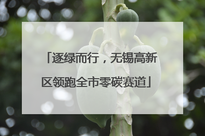 逐绿而行，无锡高新区领跑全市零碳赛道