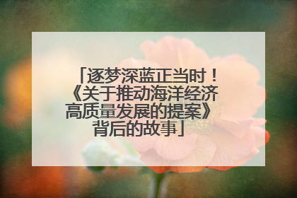 逐梦深蓝正当时！《关于推动海洋经济高质量发展的提案》背后的故事