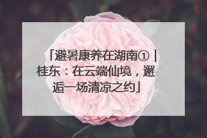 避暑康养在湖南①｜桂东：在云端仙境，邂逅一场清凉之约