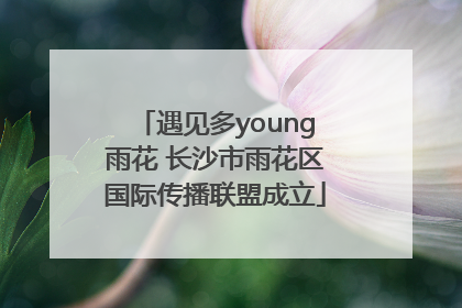 遇见多young雨花 长沙市雨花区国际传播联盟成立