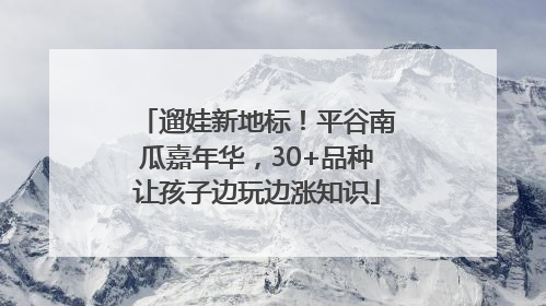 遛娃新地标！平谷南瓜嘉年华，30+品种让孩子边玩边涨知识