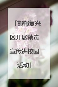 邯郸复兴区开展禁毒宣传进校园活动