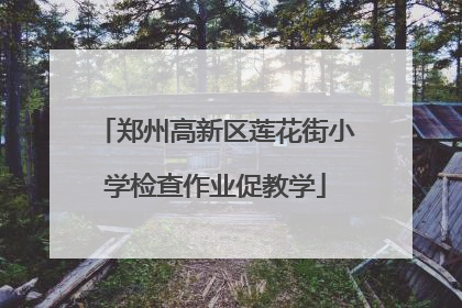 郑州高新区莲花街小学检查作业促教学