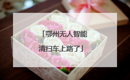 鄂州无人智能清扫车上路了