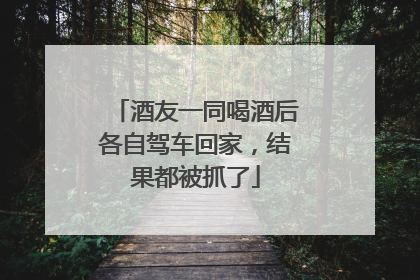酒友一同喝酒后各自驾车回家，结果都被抓了