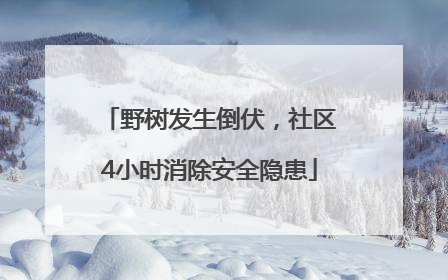 野树发生倒伏，社区4小时消除安全隐患