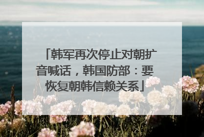 韩军再次停止对朝扩音喊话，韩国防部：要恢复朝韩信赖关系