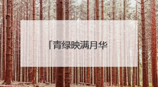 青绿映满月华 众志守得安澜