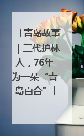 青岛故事｜三代护林人，76年为一朵“青岛百合”