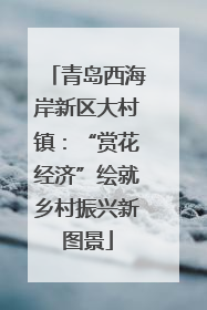 青岛西海岸新区大村镇：“赏花经济”绘就乡村振兴新图景