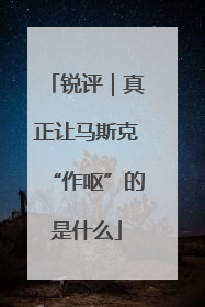 锐评｜真正让马斯克“作呕”的是什么