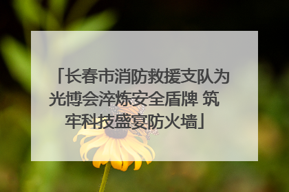长春市消防救援支队为光博会淬炼安全盾牌 筑牢科技盛宴防火墙