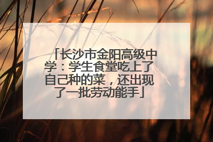 长沙市金阳高级中学：学生食堂吃上了自己种的菜，还出现了一批劳动能手