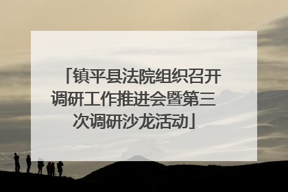 镇平县法院组织召开调研工作推进会暨第三次调研沙龙活动