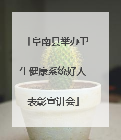 阜南县举办卫生健康系统好人表彰宣讲会