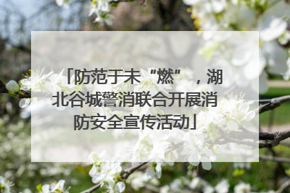 防范于未“燃”，湖北谷城警消联合开展消防安全宣传活动