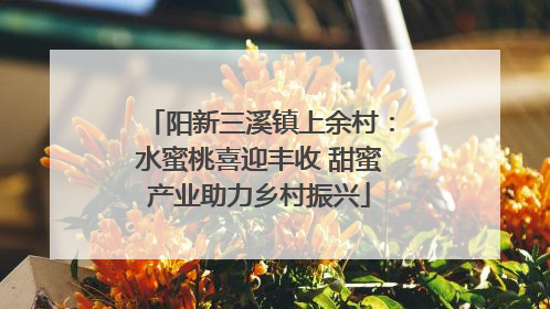 阳新三溪镇上余村：水蜜桃喜迎丰收 甜蜜产业助力乡村振兴