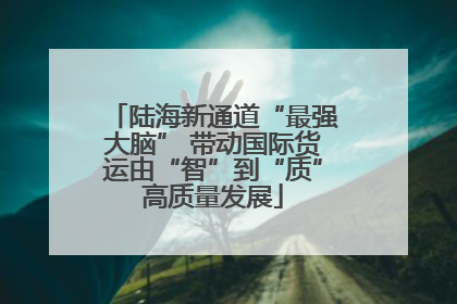 陆海新通道“最强大脑” 带动国际货运由“智”到“质”高质量发展